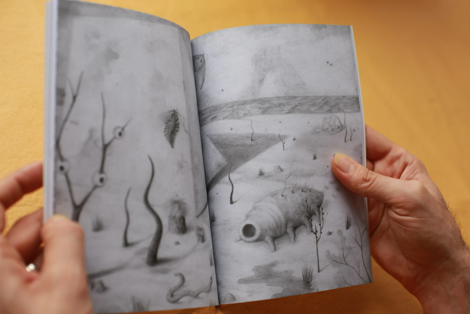 Bitácora de un viaje solar